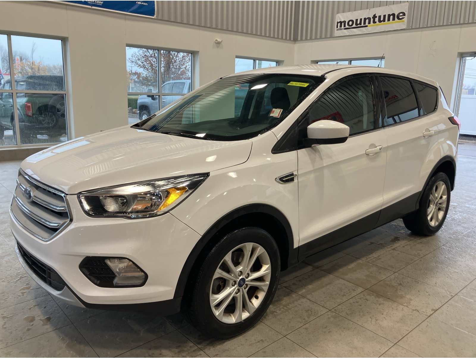 2019 Ford Escape SE