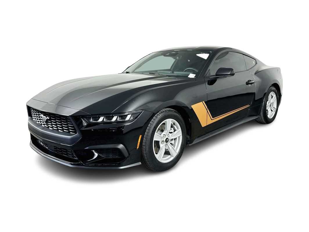 2024 Ford Mustang  -
                  Tampa, FL