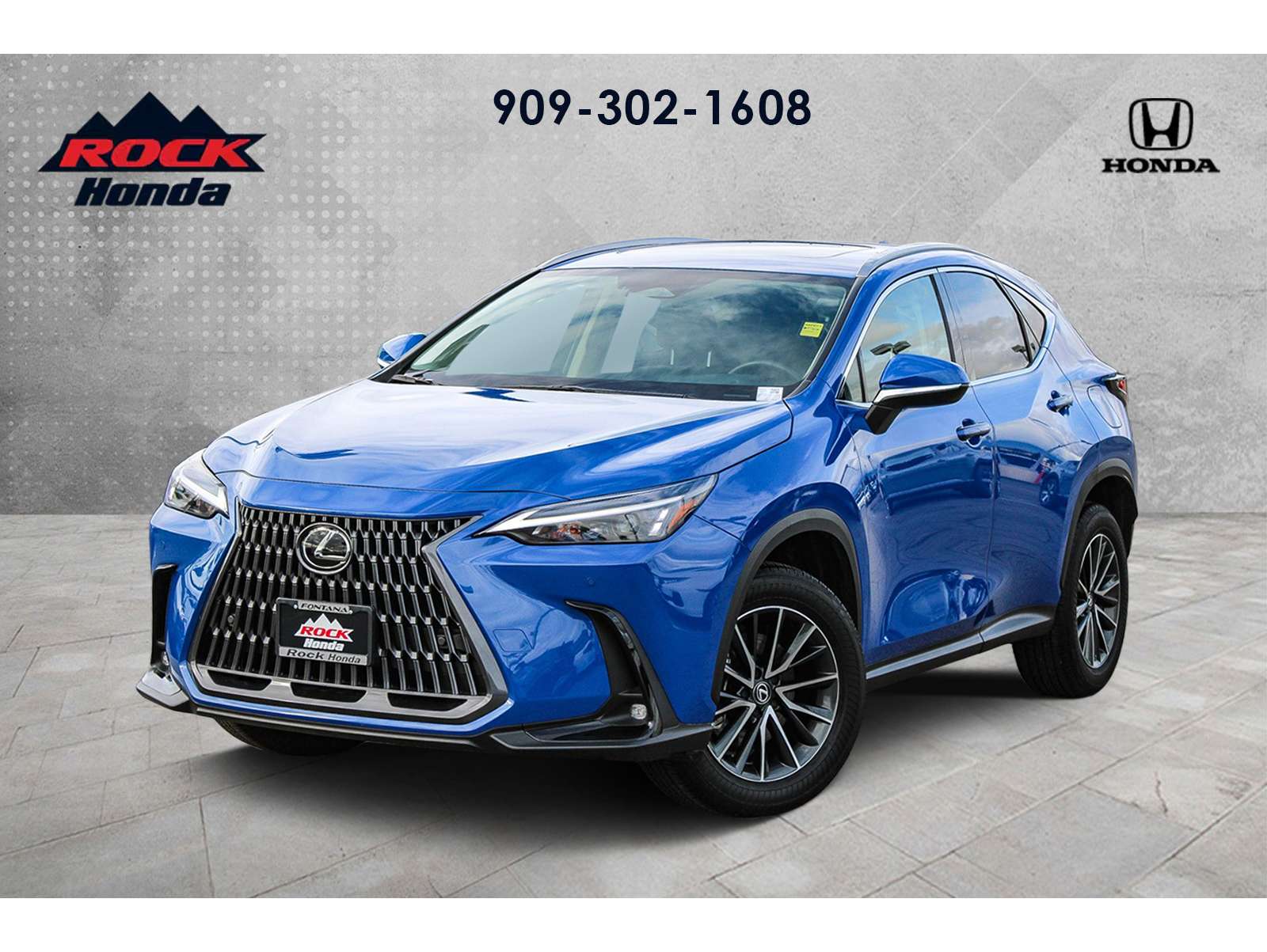 2025 Lexus NX 250's photo