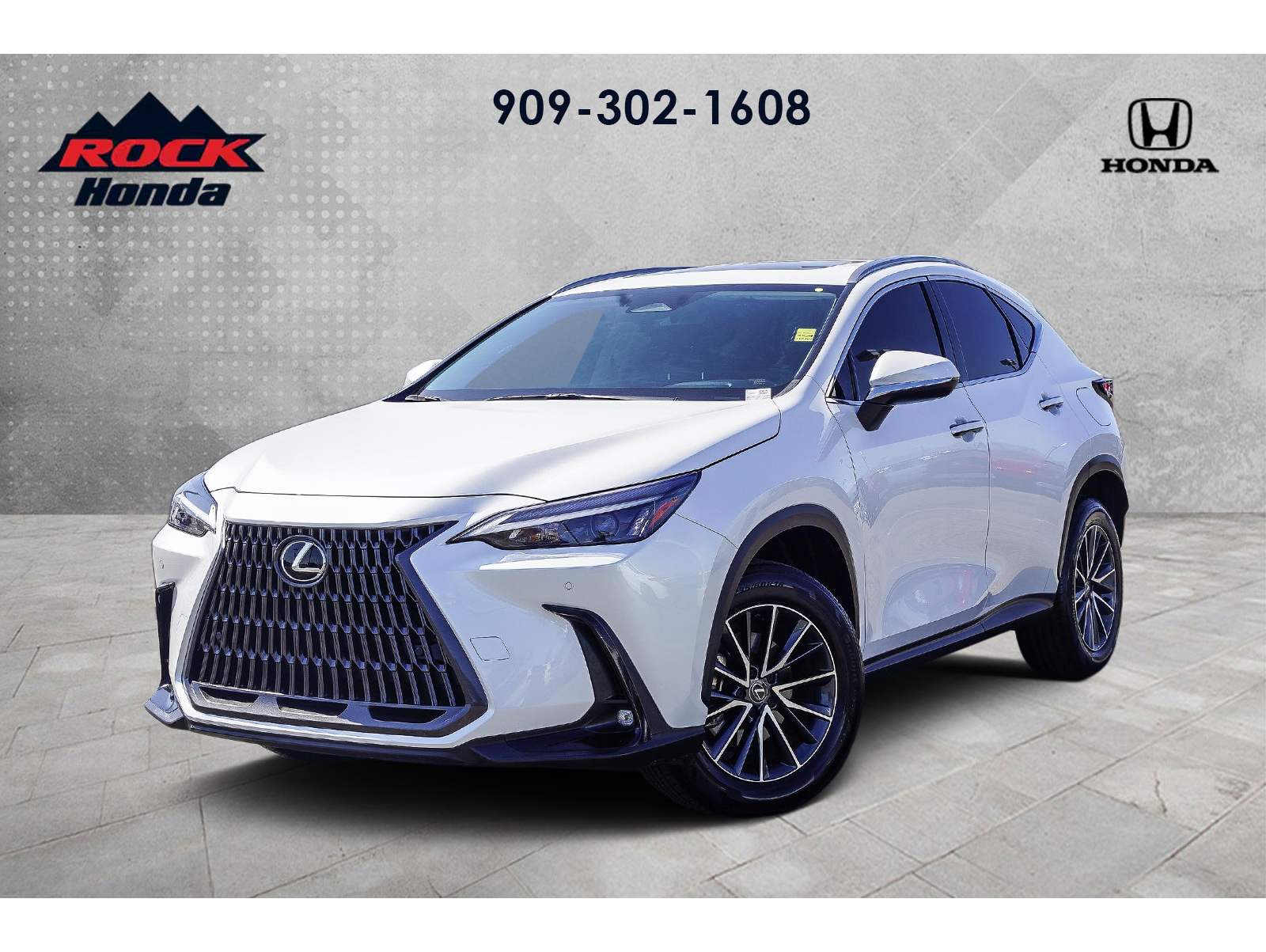 2024 Lexus NX 250's photo