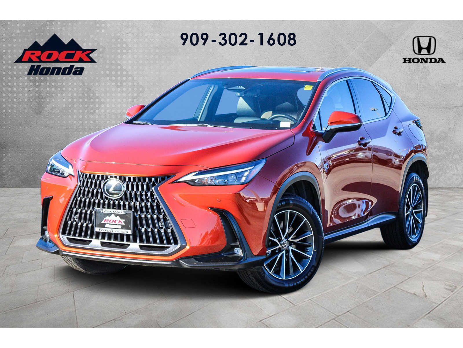 2023 Lexus NX Hybrid 350h's photo