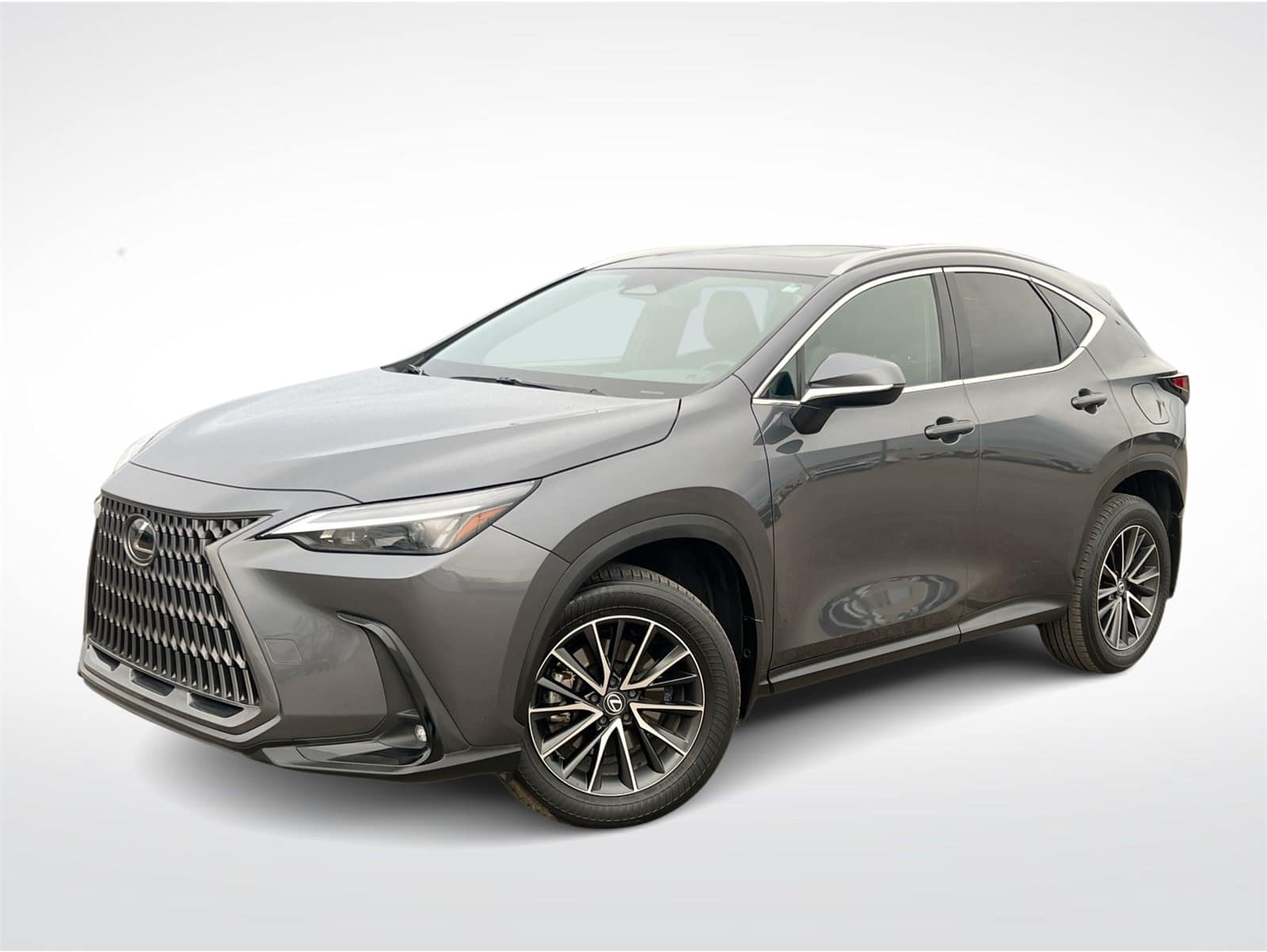 2024 Lexus NX 350's photo