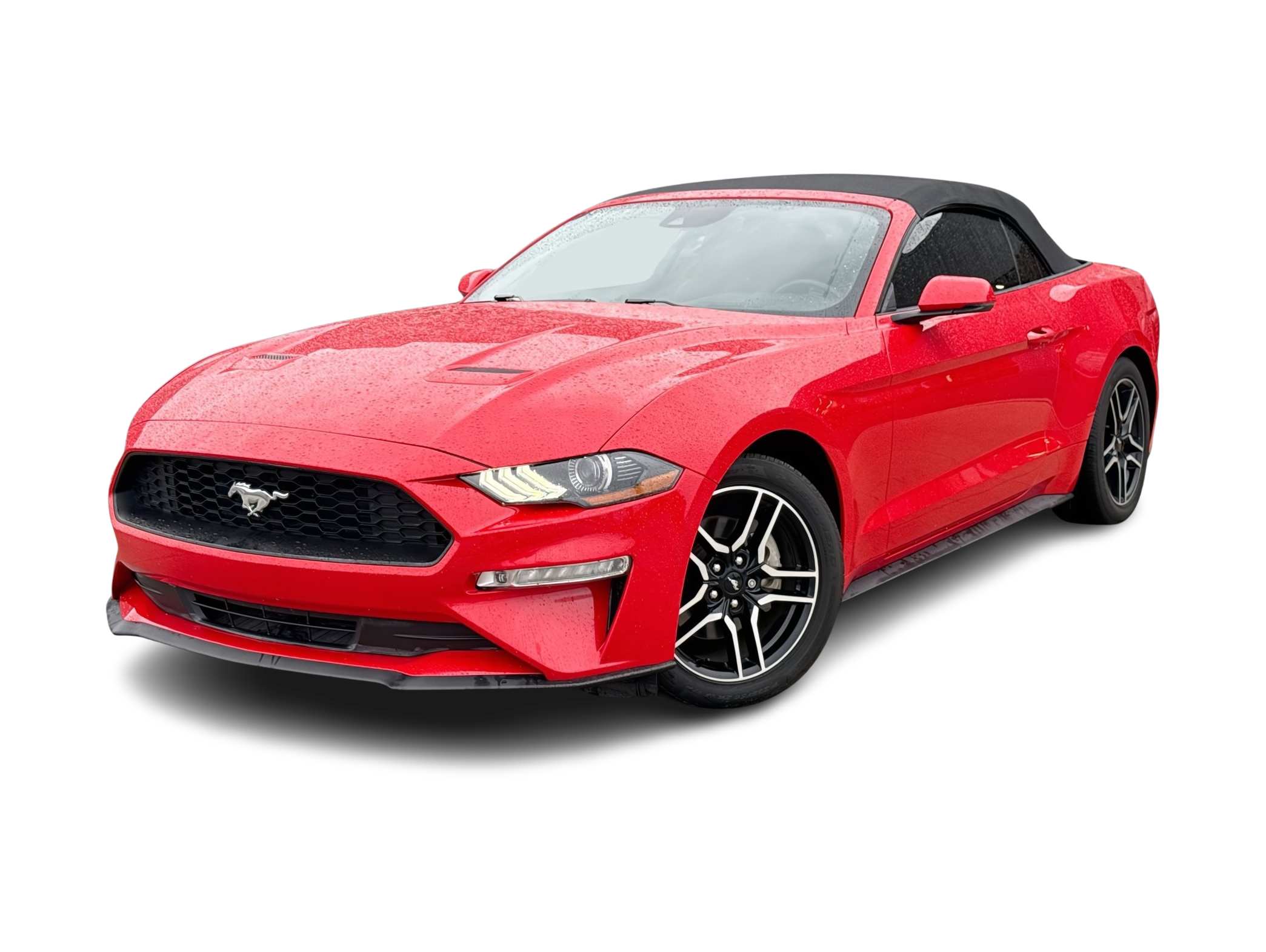 Thumbnail: 2019 Ford Mustang - 1