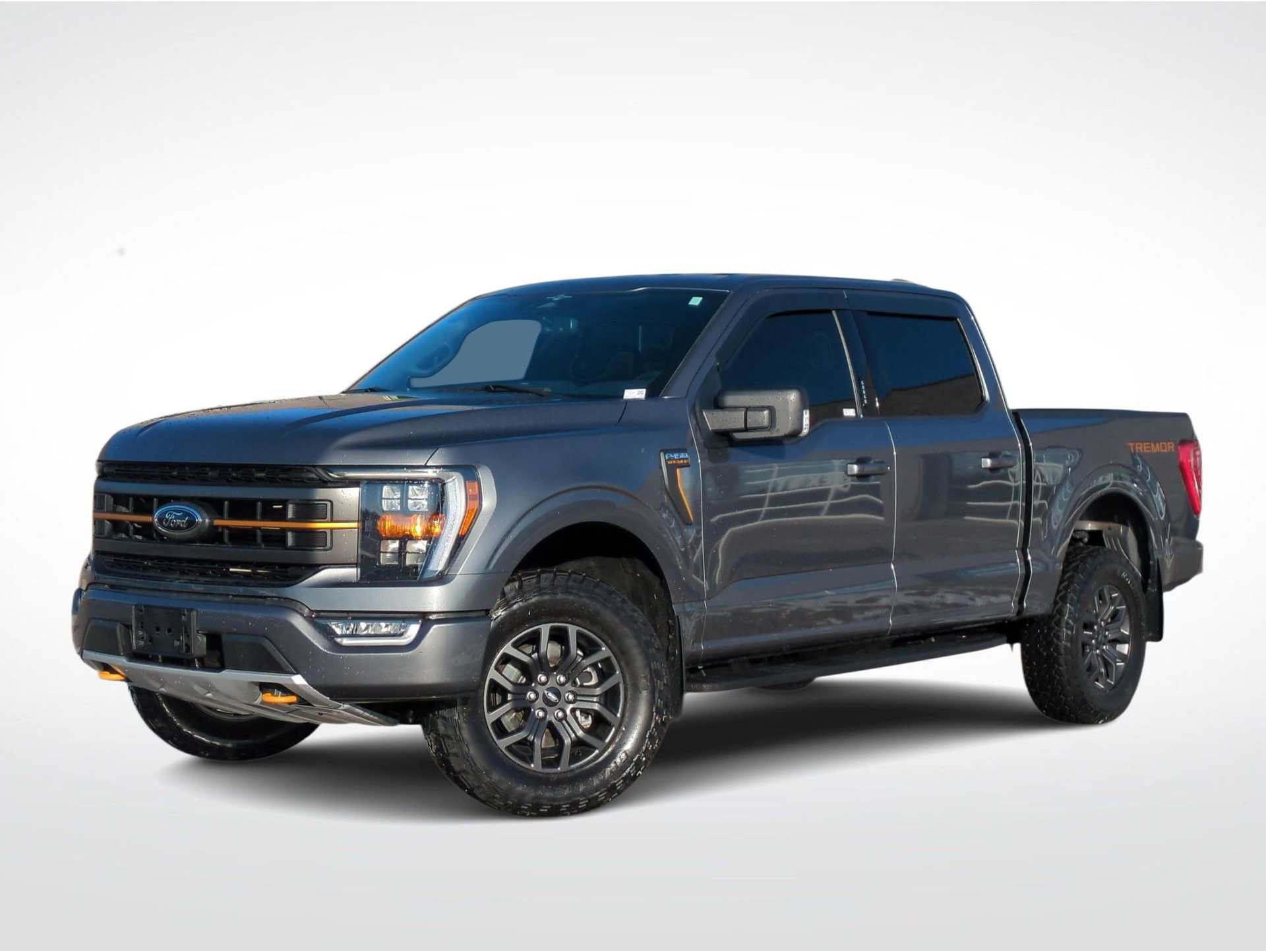 2023 Ford F-150 Tremor's photo