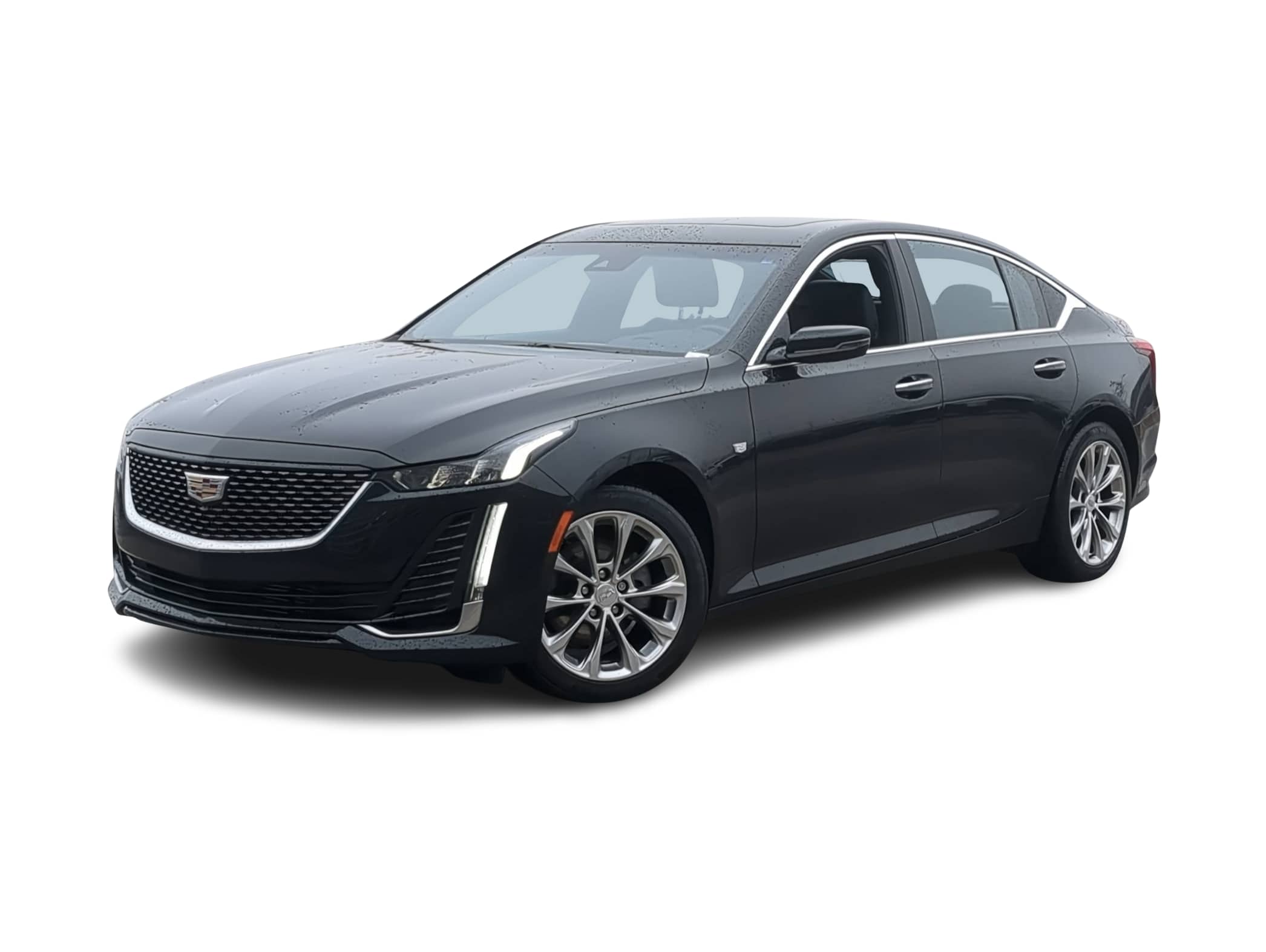 2021 Cadillac CT5 Premium Luxury -
                  Washington, MI