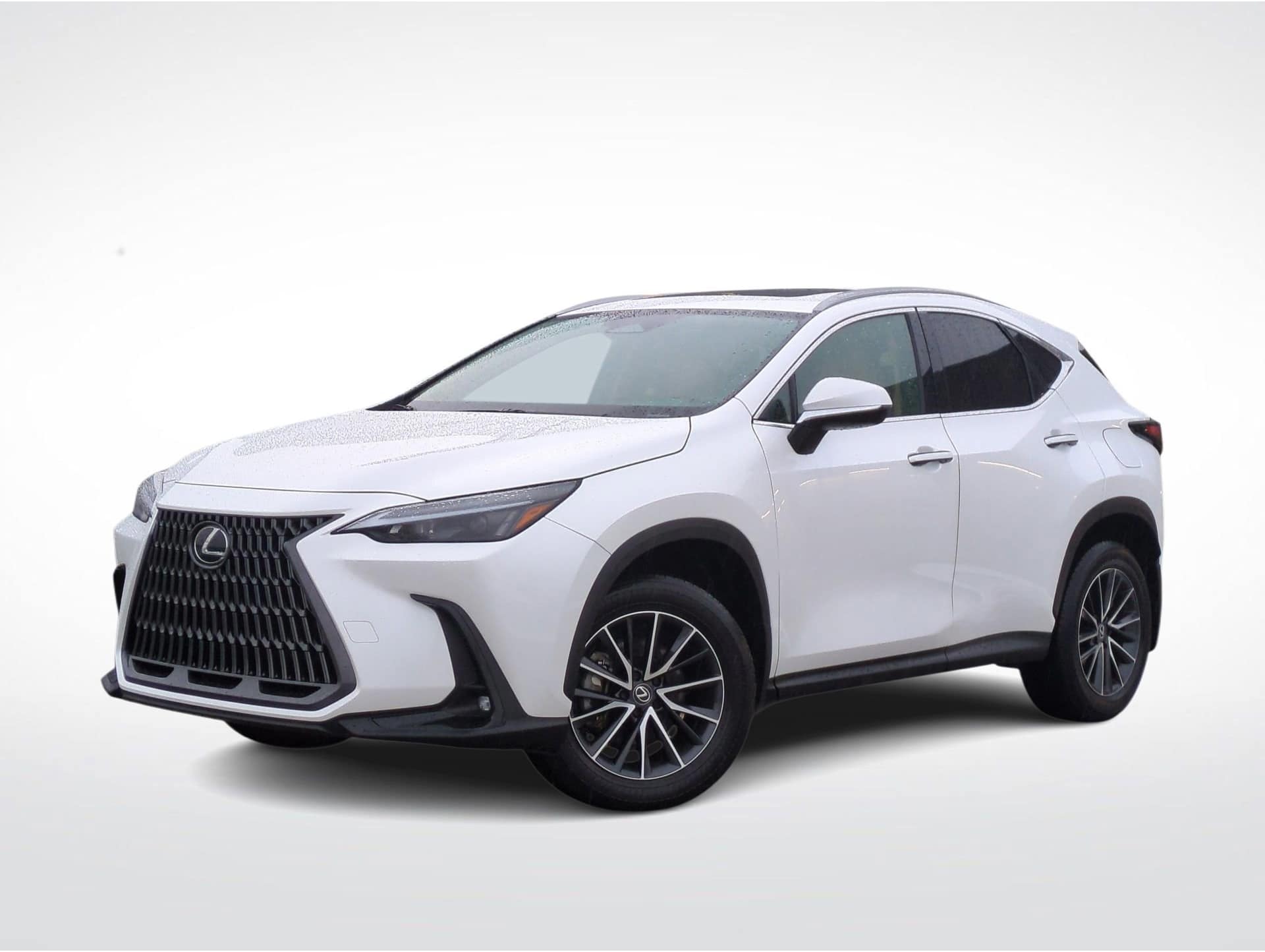 2024 Lexus NX Hybrid 350h's photo