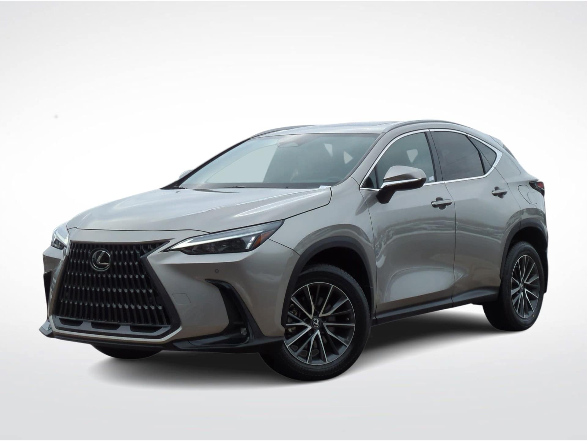 2023 Lexus NX 350's photo