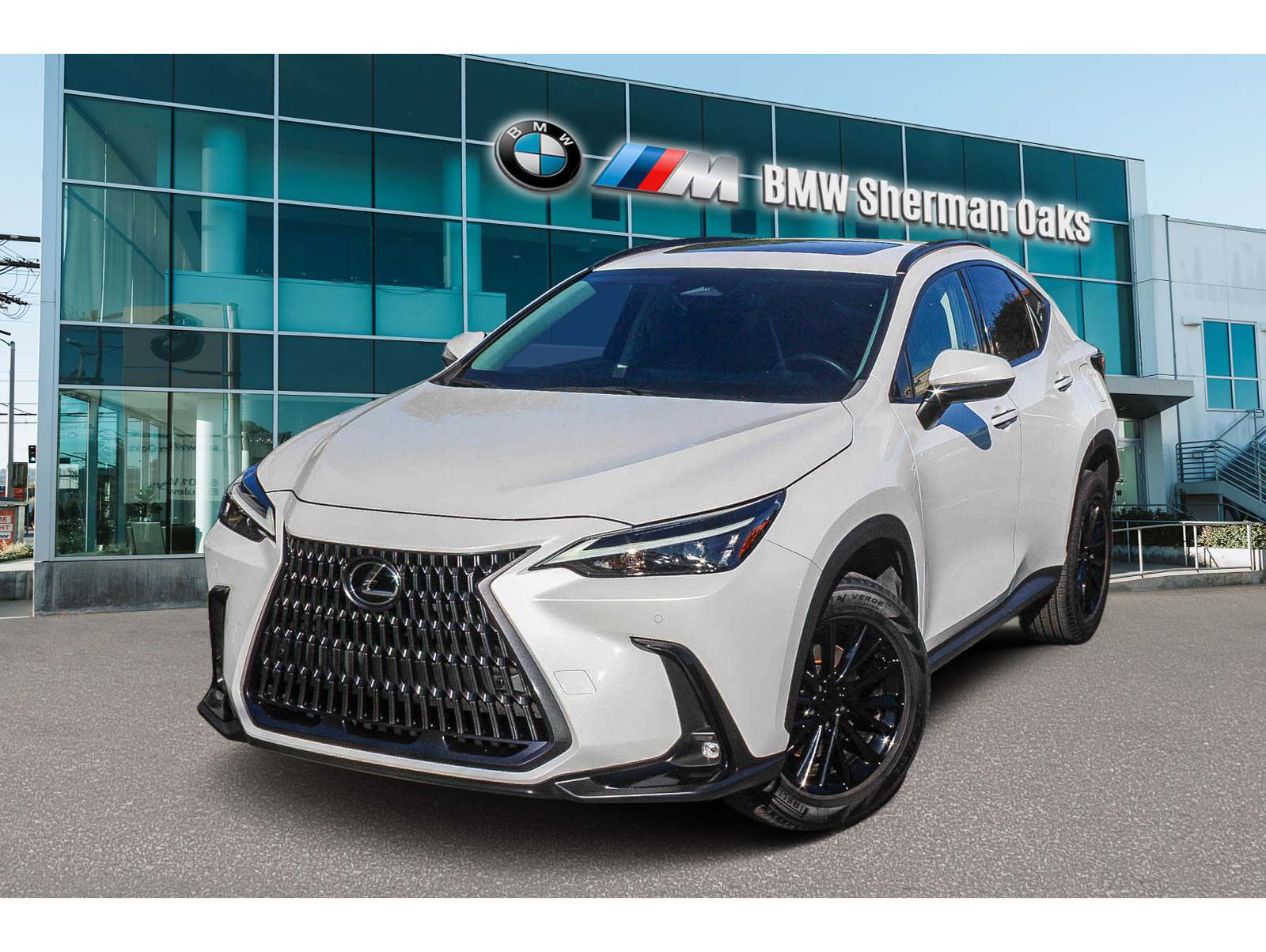 2022 Lexus NX 350's photo