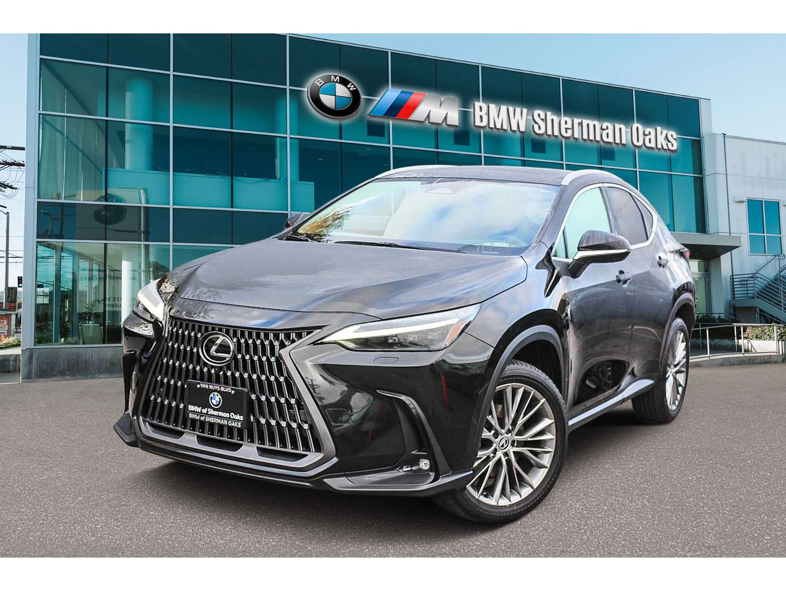 2024 Lexus NX 350's photo