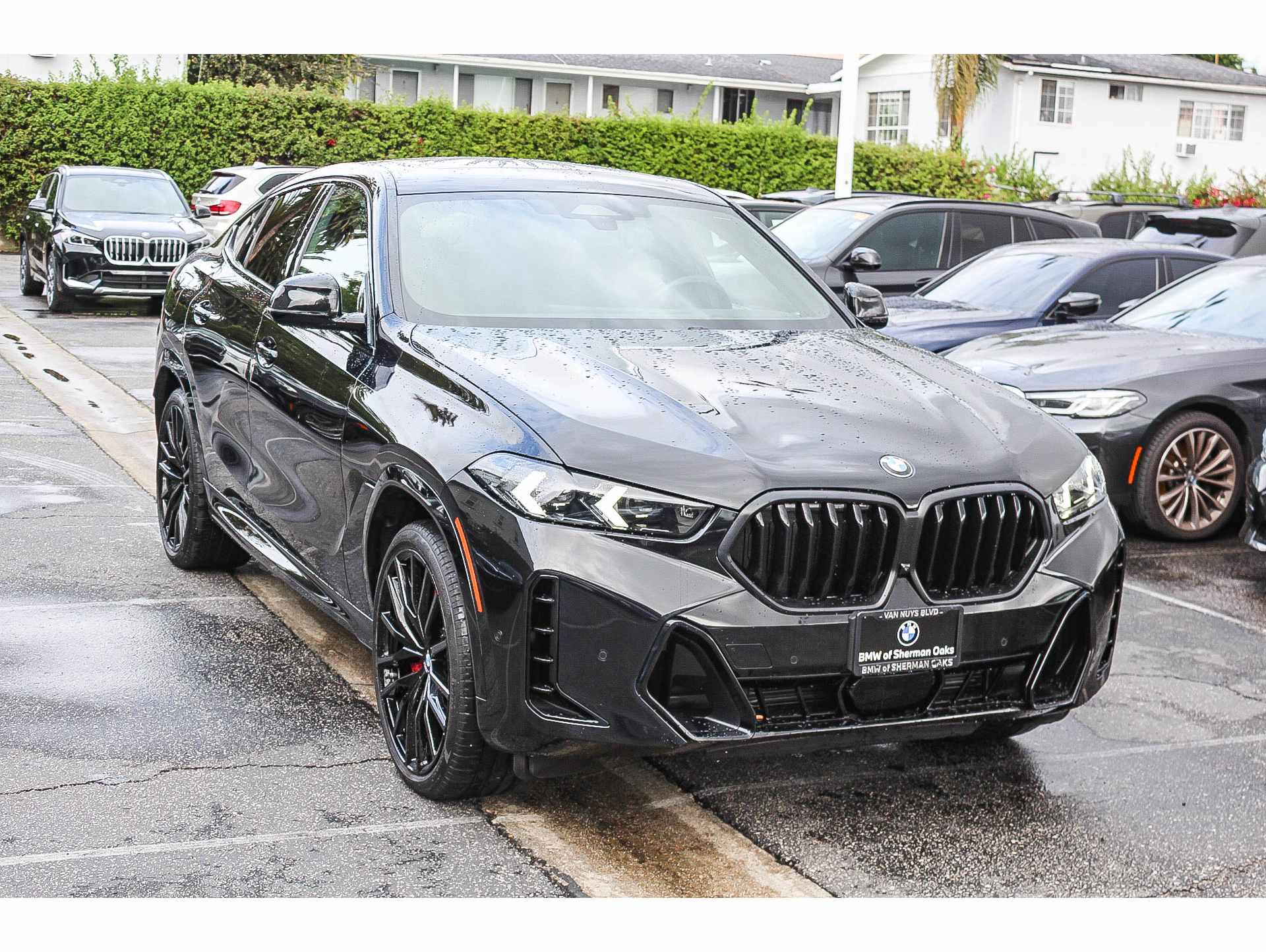 2025 BMW X6 40i's photo