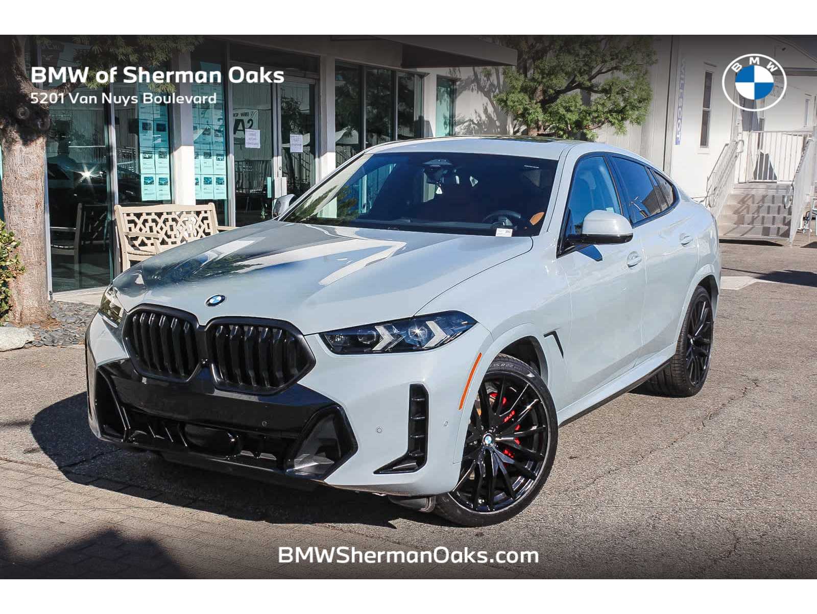 2024 BMW X6