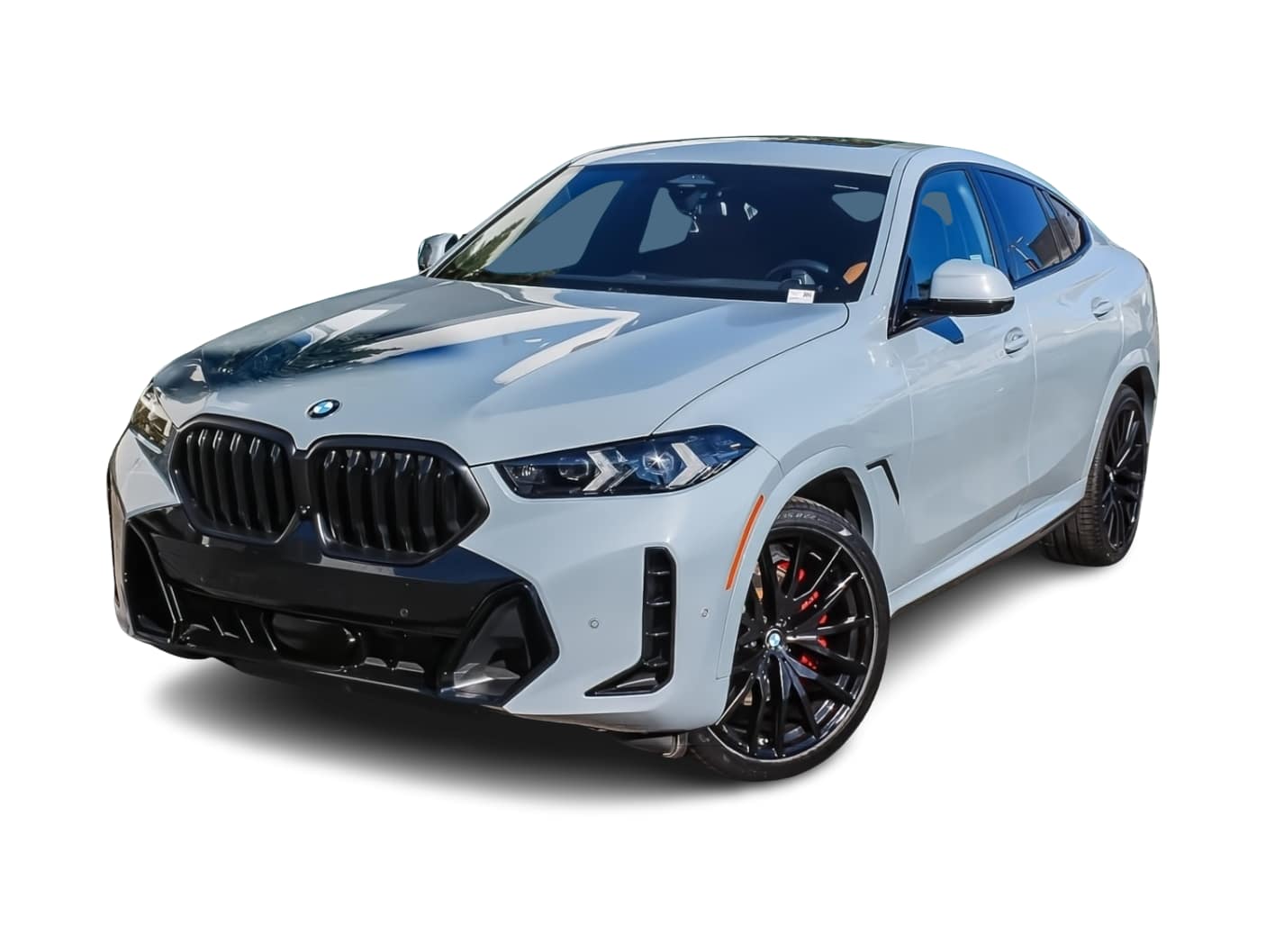 Thumbnail: 2024 BMW X6 - 1