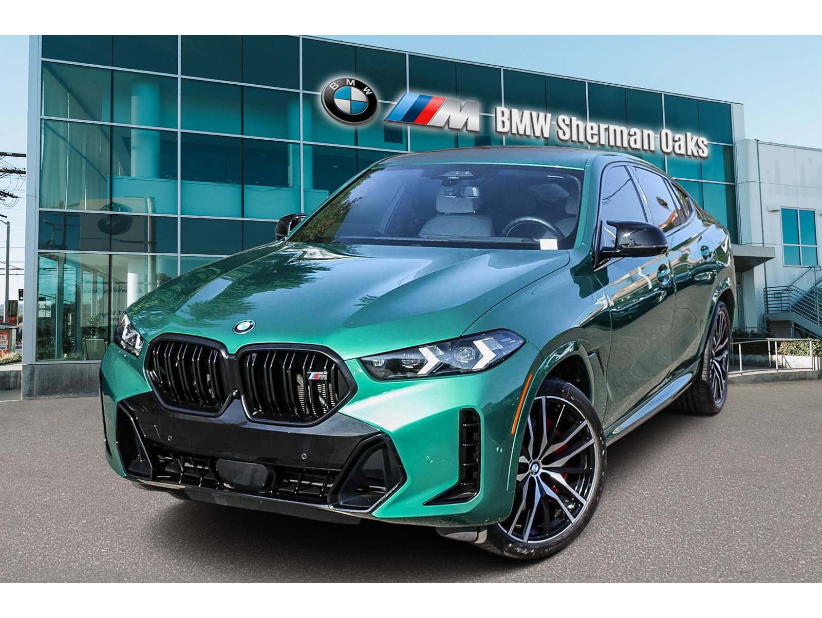 2024 BMW X6 M60i's photo