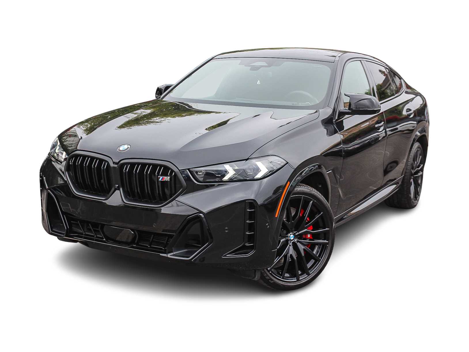 Thumbnail: 2025 BMW X6 - 1