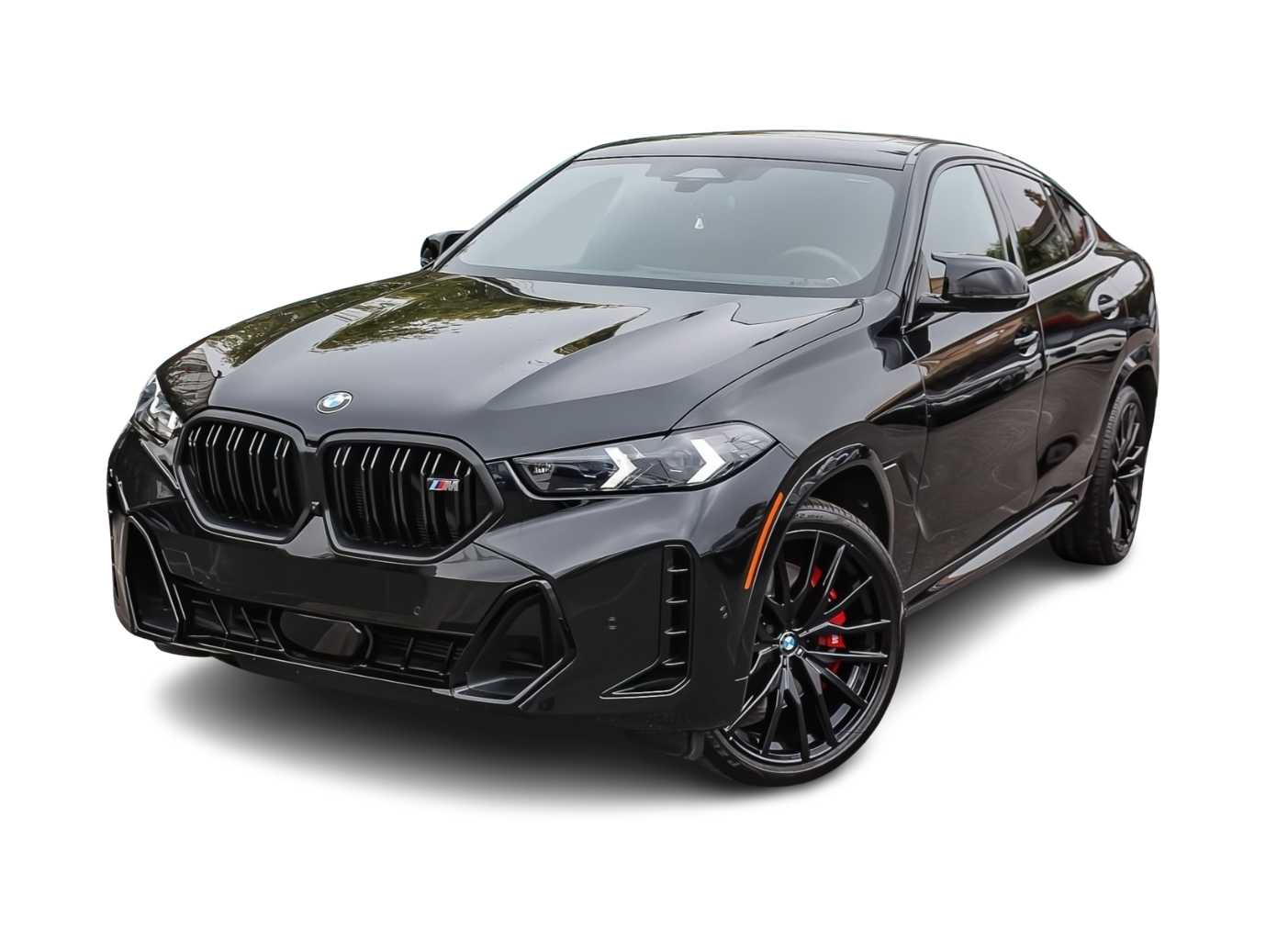 Thumbnail: 2025 BMW X6 - 1