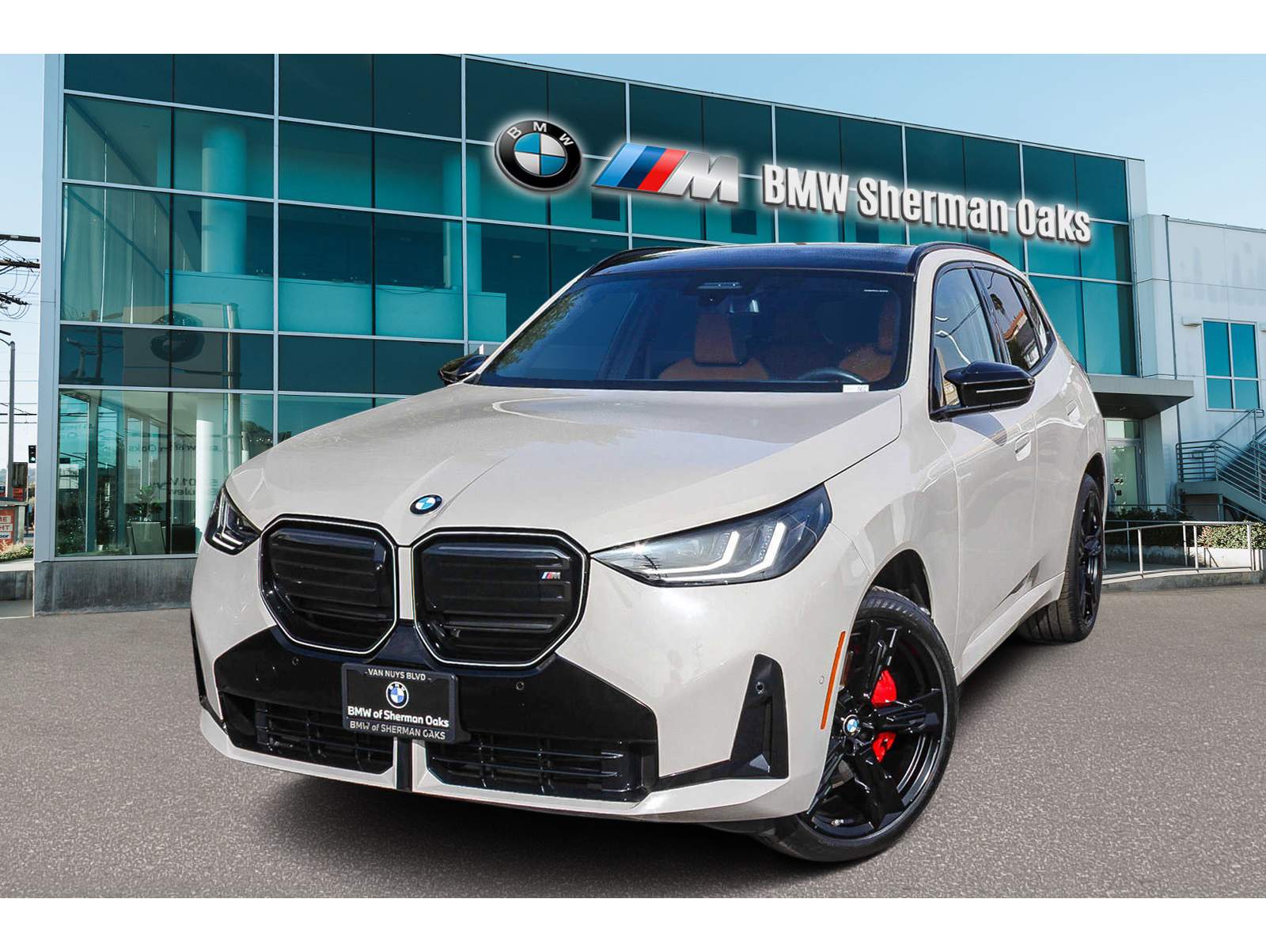 2025 BMW X3 M50's photo