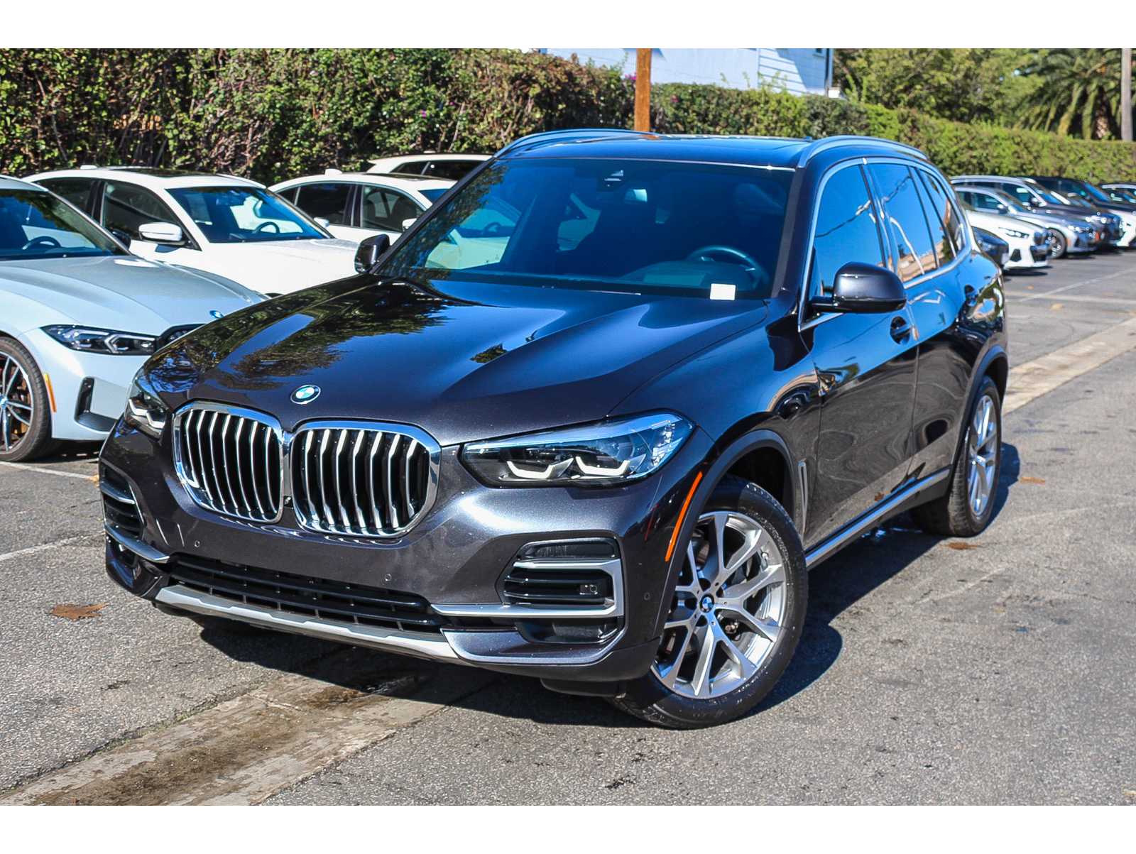 2023 BMW X5 40i's photo