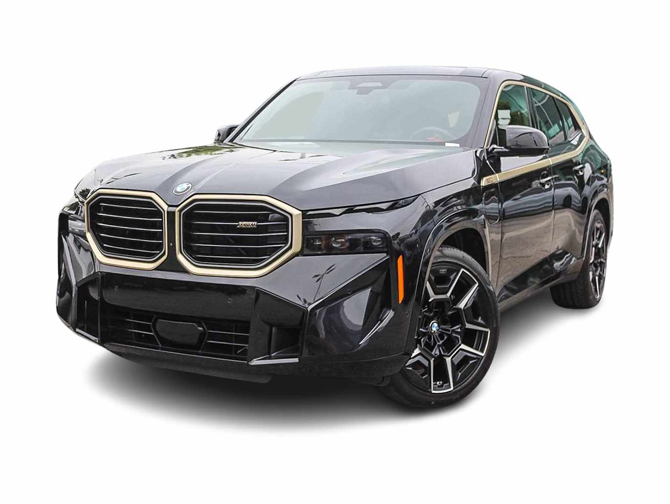 2023 BMW XM  -
                Sherman Oaks, CA