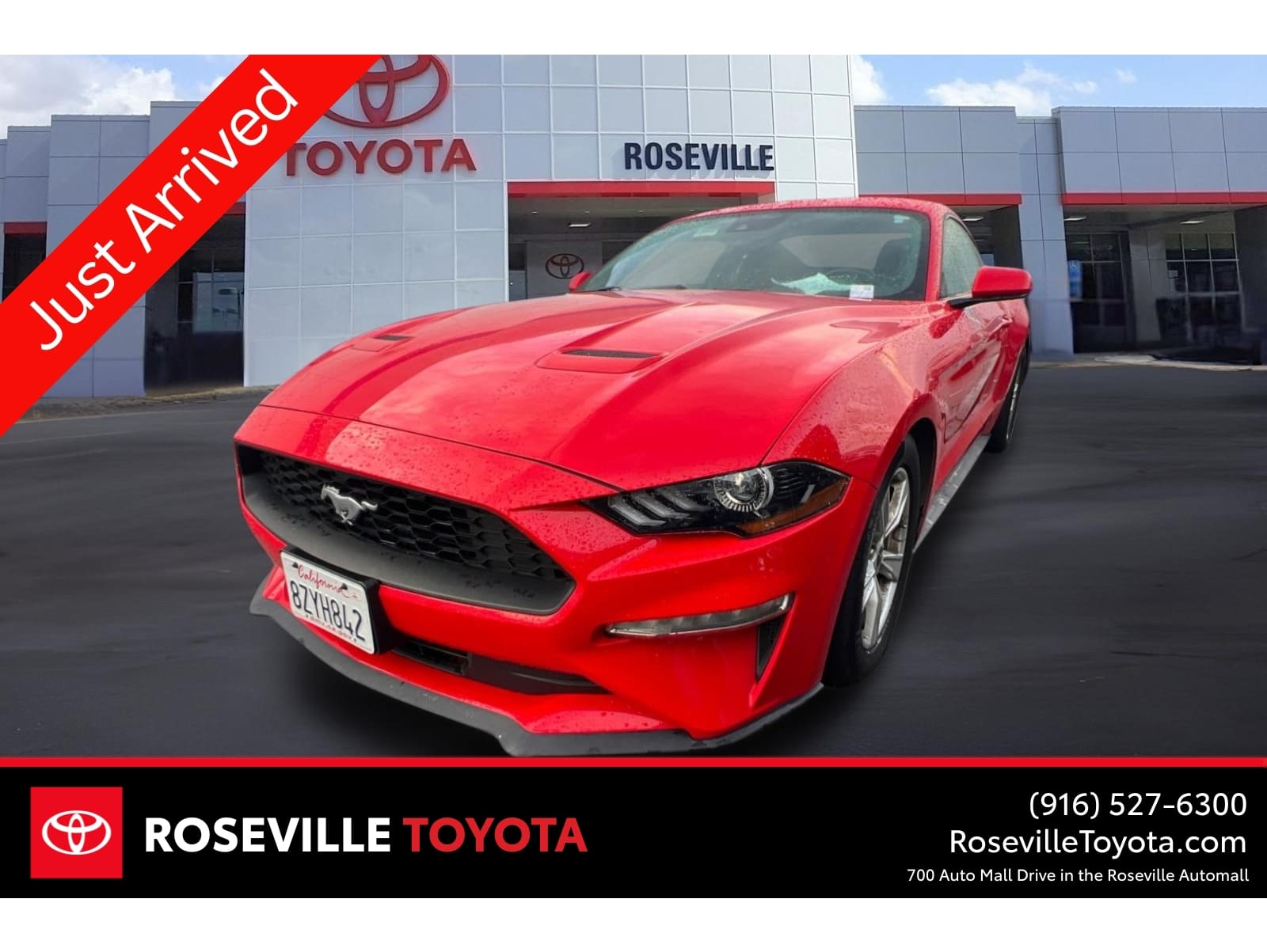 2021 Ford Mustang EcoBoost's photo