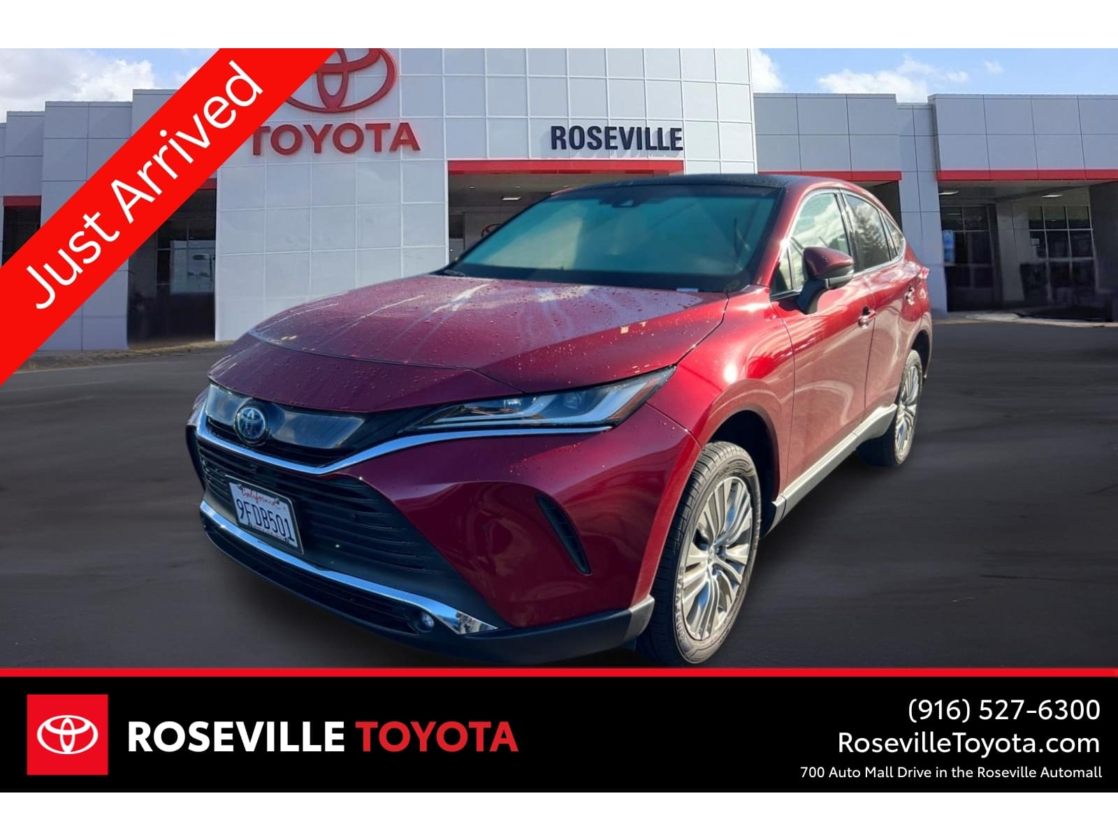 2023 Toyota Venza Limited's photo