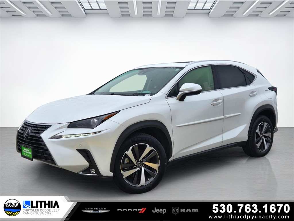 2020 Lexus NX 300's photo