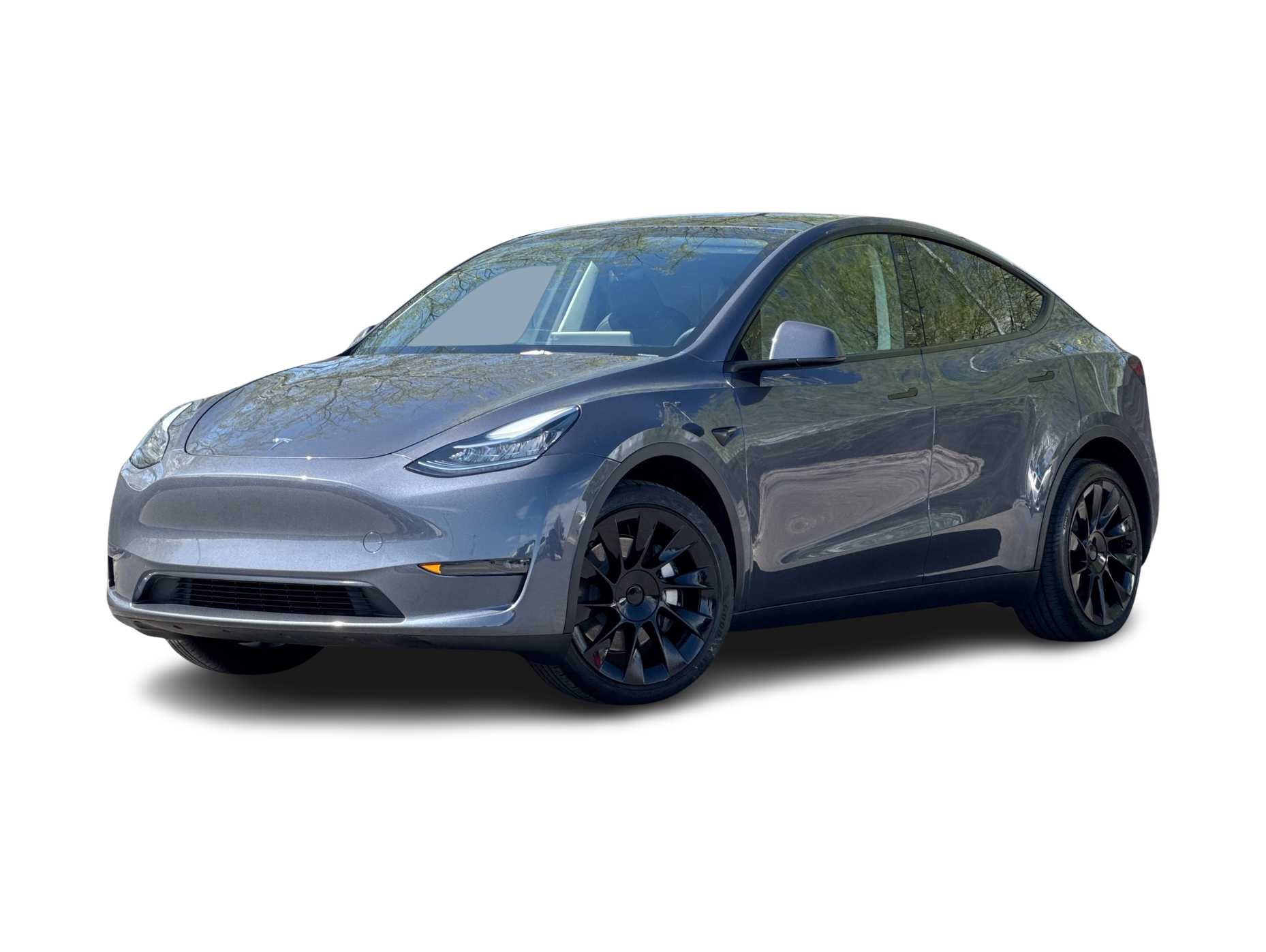 Thumbnail: 2023 Tesla Model Y - 1