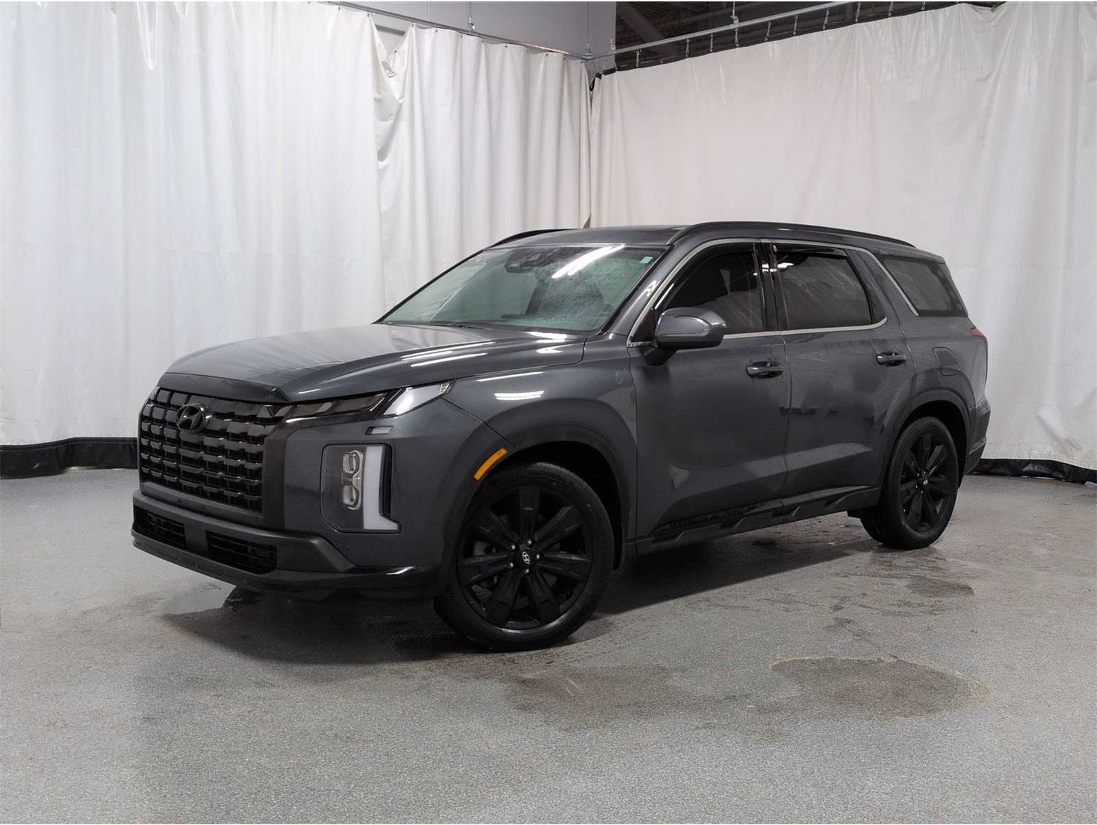 2023 Hyundai Palisade XRT's photo