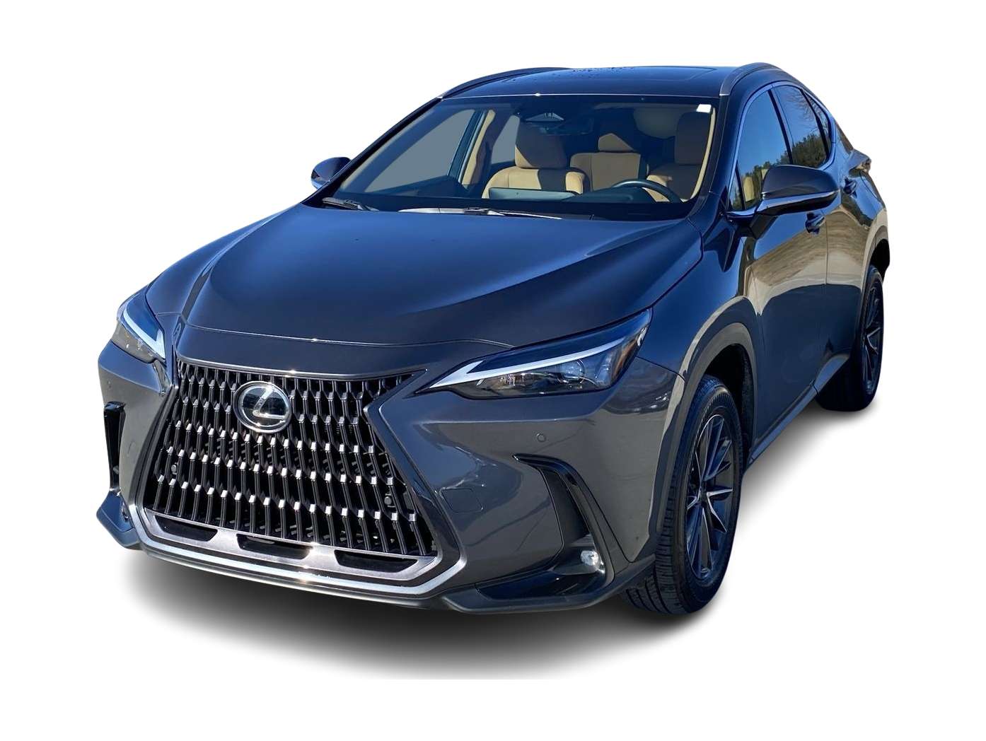 2022 Lexus NX 250 -
                Urbandale, IA