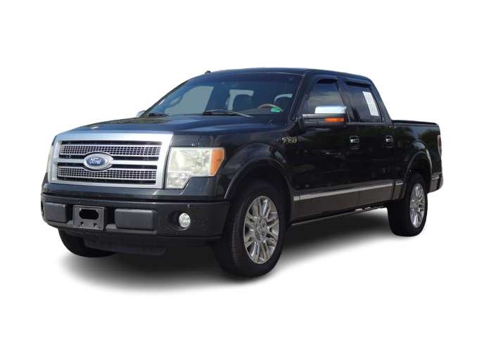 2010 Ford F-150 Platinum -
                  Norfolk, VA