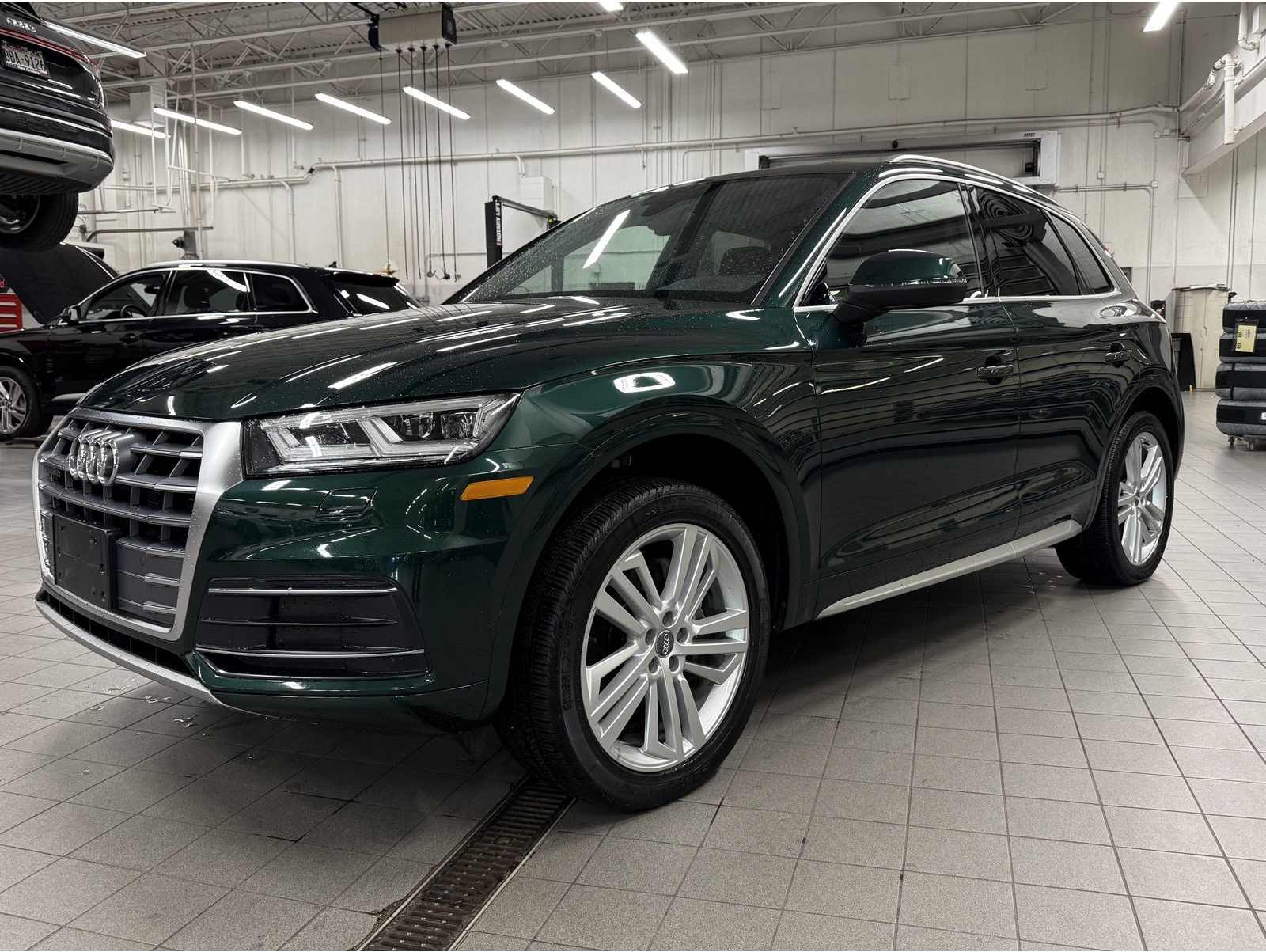 2019 Audi Q5 Premium Plus