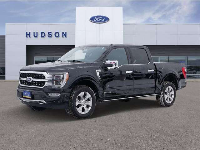 2023 Ford F-150 Platinum's photo
