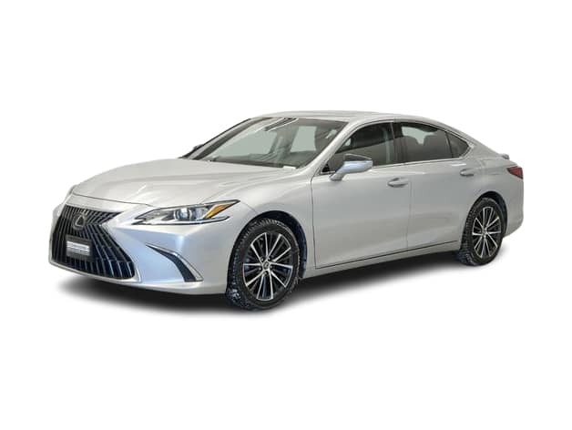 2022 Lexus ES 250 -
                Coon Rapids, MN