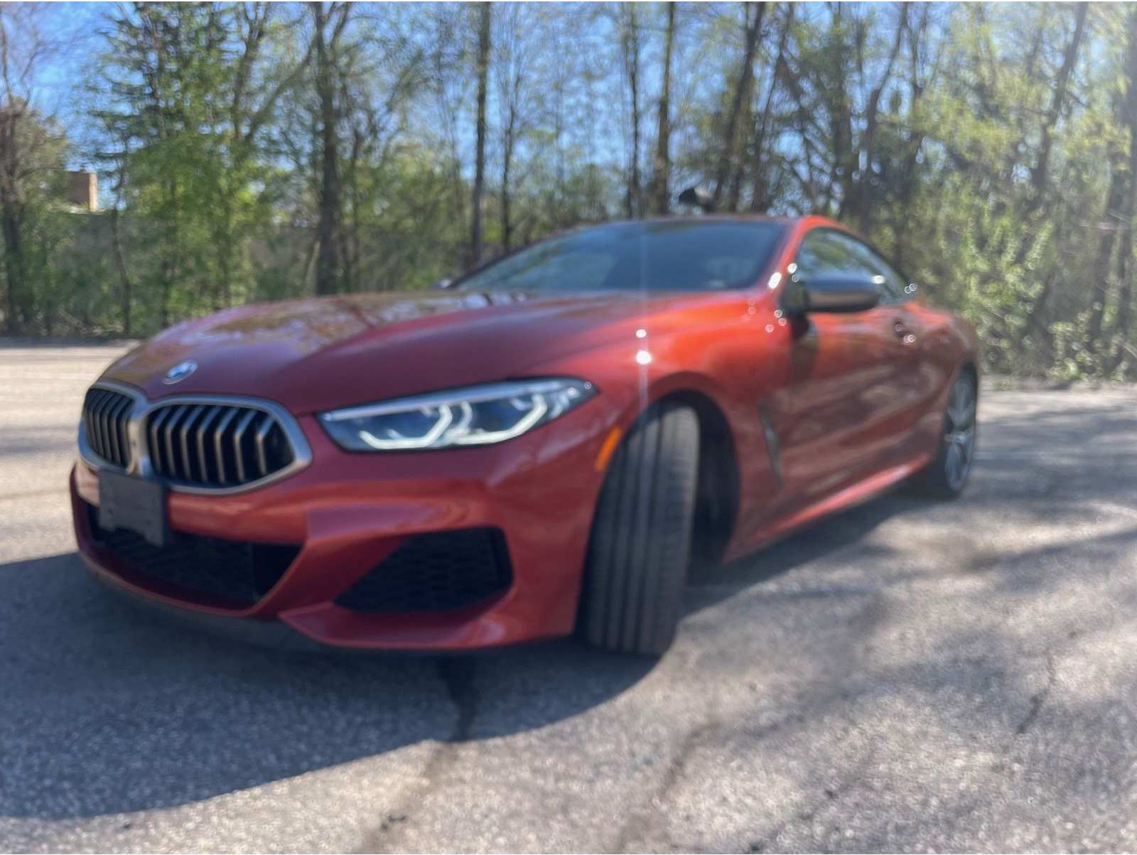 2019 BMW 8 Series