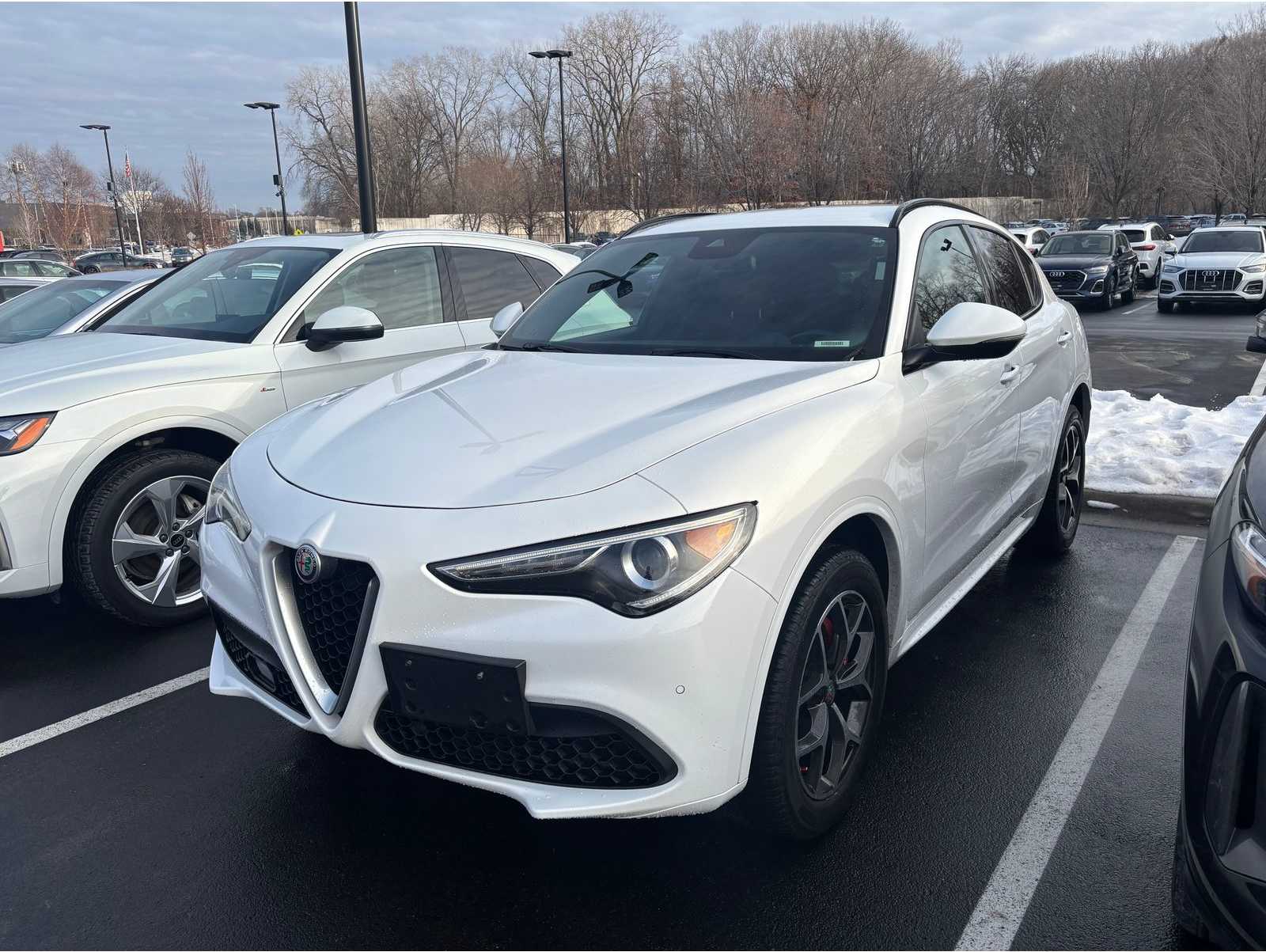 2020 Alfa Romeo Stelvio Ti Sport's photo