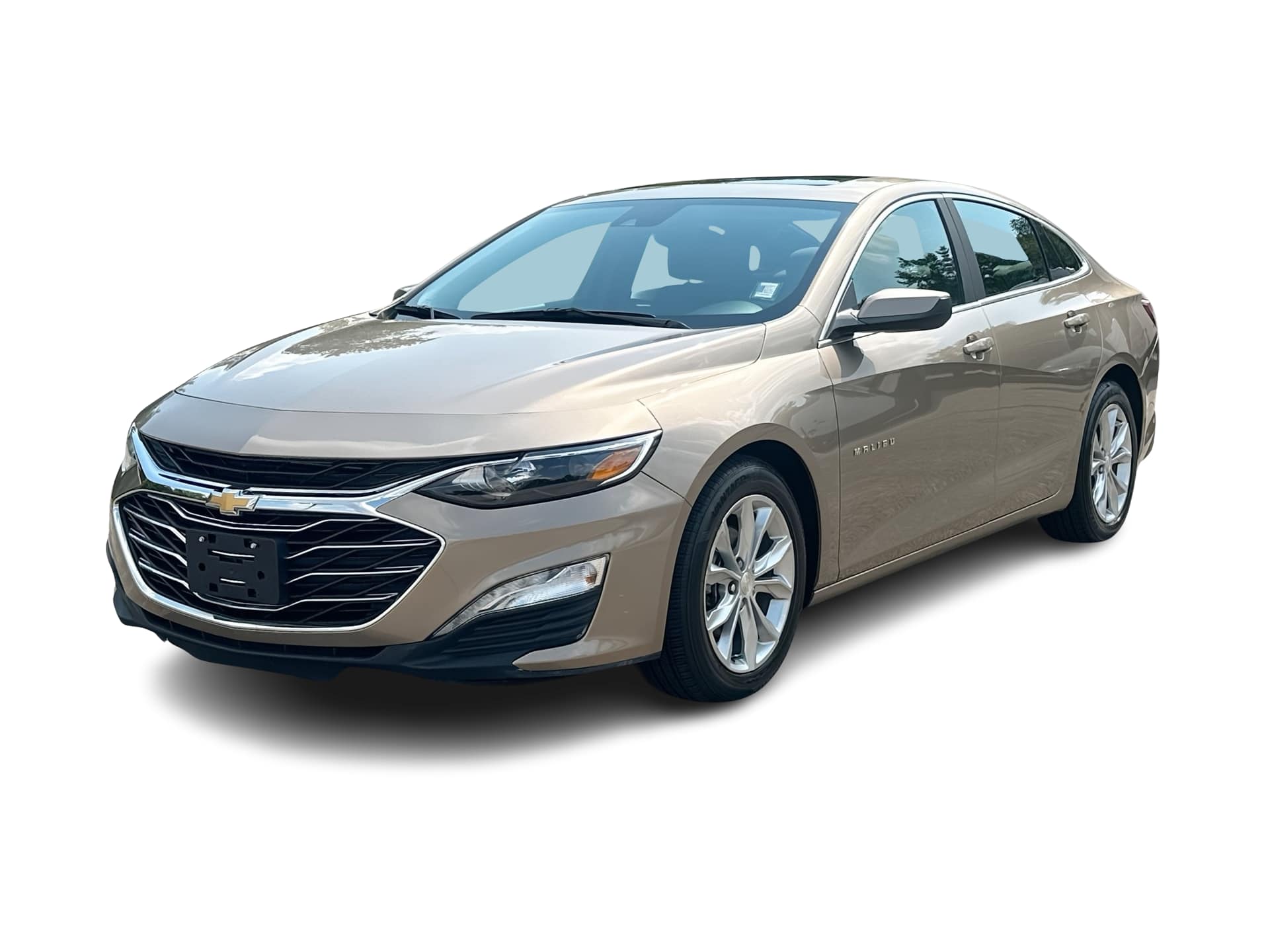 Thumbnail: 2019 Chevrolet Malibu - 1