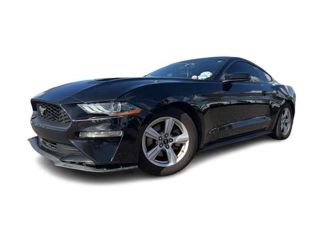 2019 Ford Mustang  -
                  Jacksonville, FL