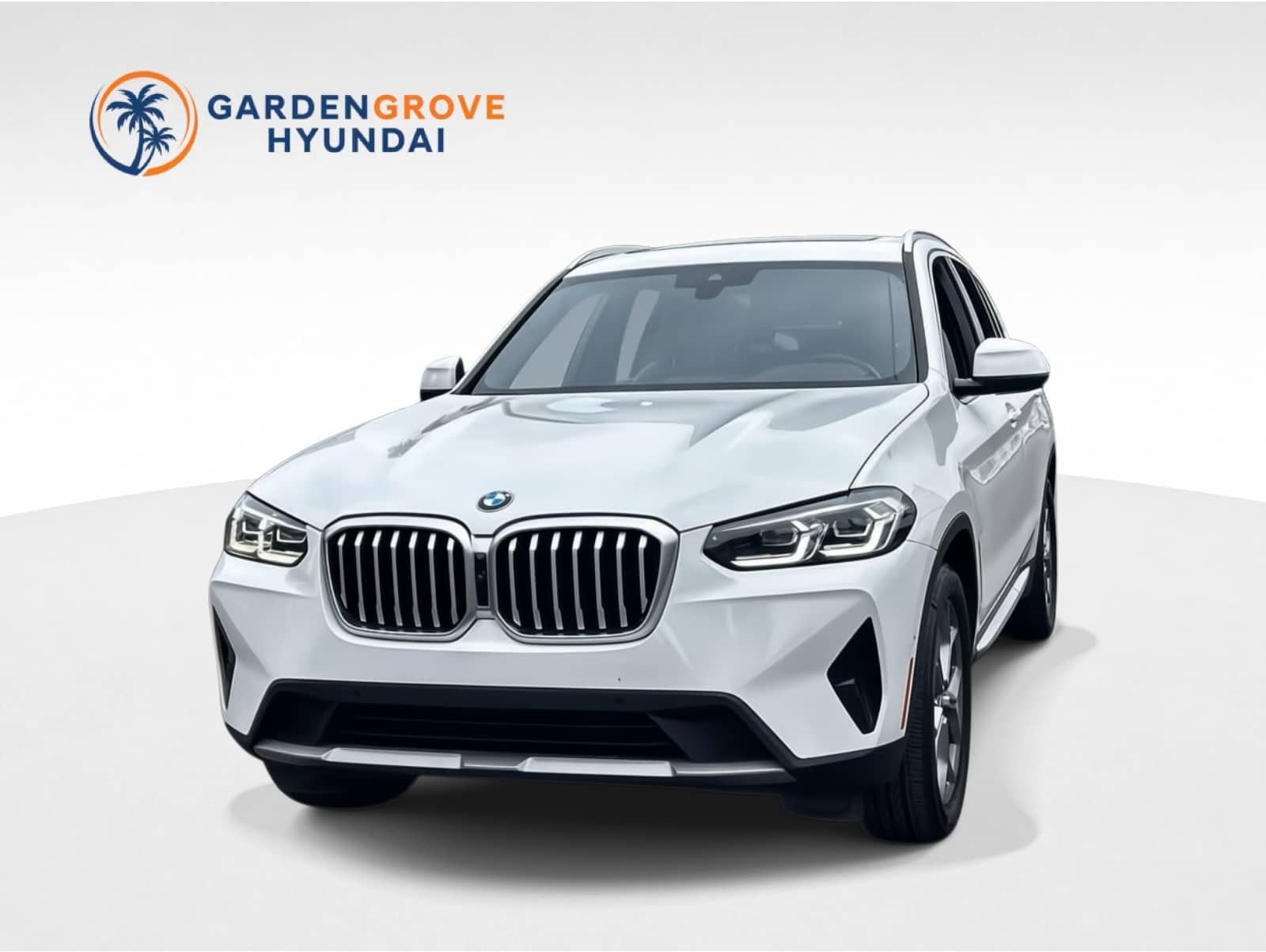 2023 BMW X3