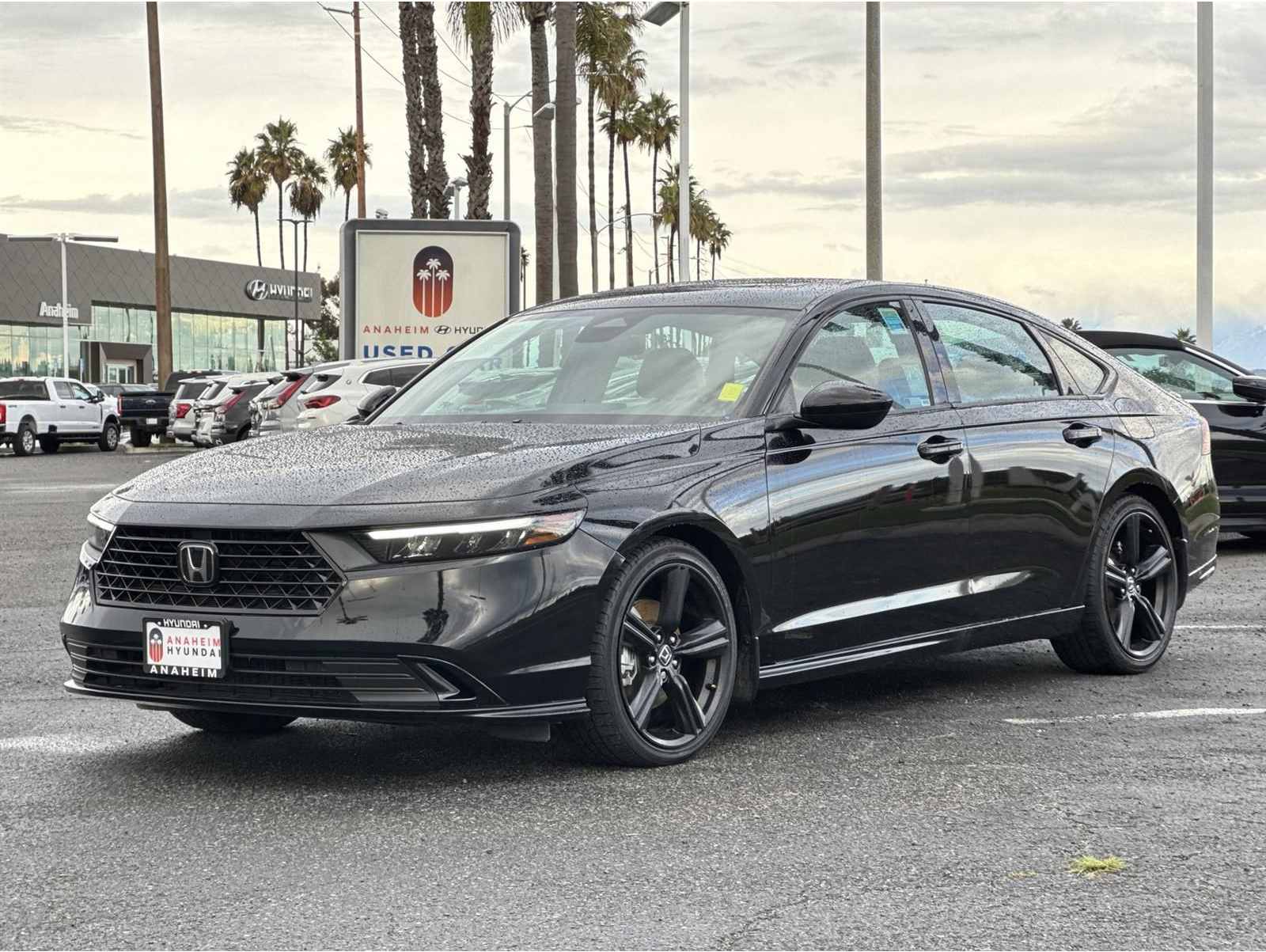 2024 Honda Accord Hybrid Sport-L's photo