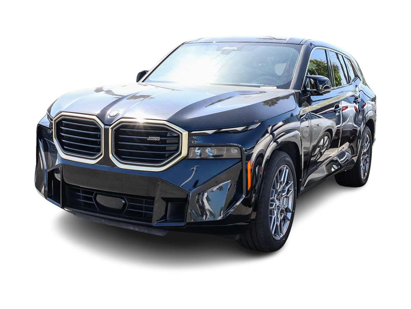 2023 BMW XM  -
                  Anaheim, CA