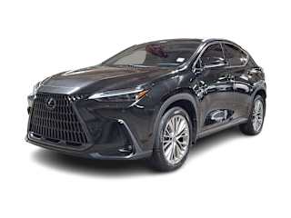 2023 Lexus NX 350 - Photo 7