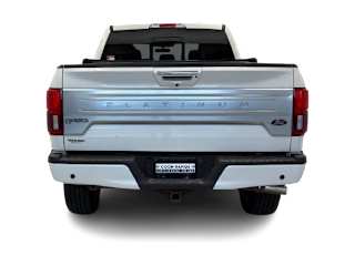 Used 2019 Ford F-150 Platinum with VIN 1FTFW1E15KFC61608 for sale in Coon Rapids, Minnesota
