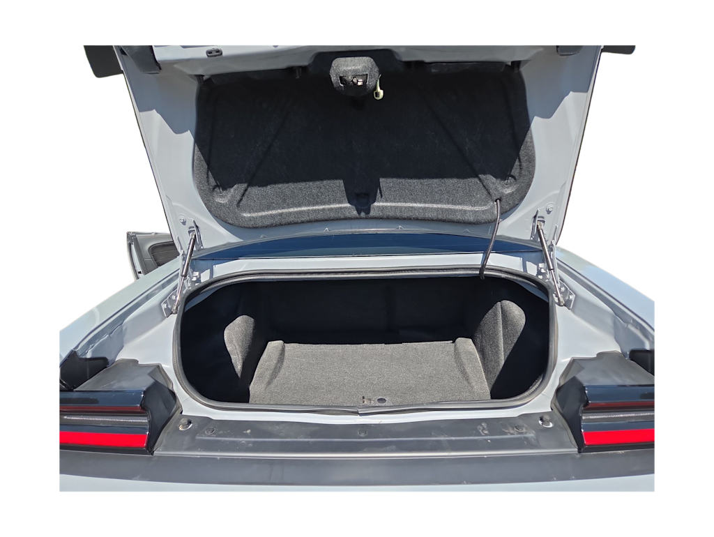 Thumbnail: 2020 Dodge Challenger - 18