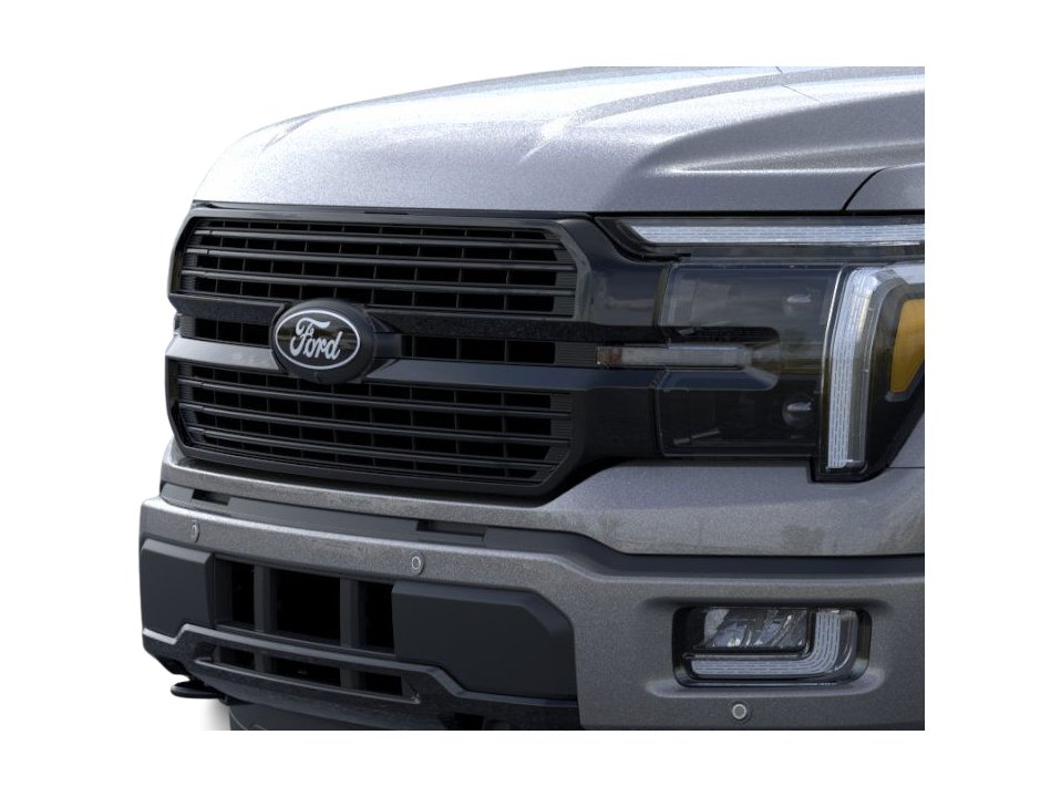 2025 Ford F-150 Platinum 18