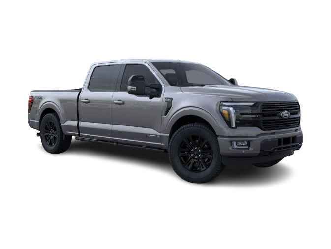 2025 Ford F-150 Platinum 14