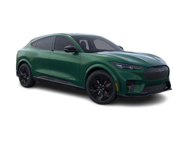 Thumbnail: 2025 Ford Mustang Mach-E - 14