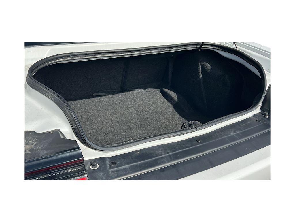 Thumbnail: 2019 Dodge Challenger - 16