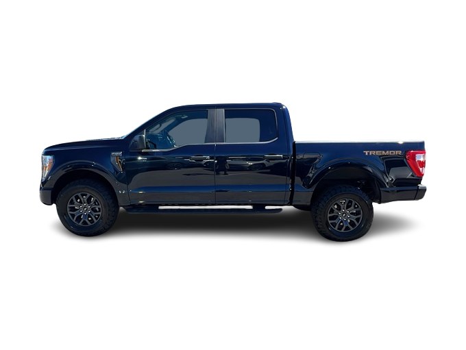 2021 Ford F-150 Tremor 3