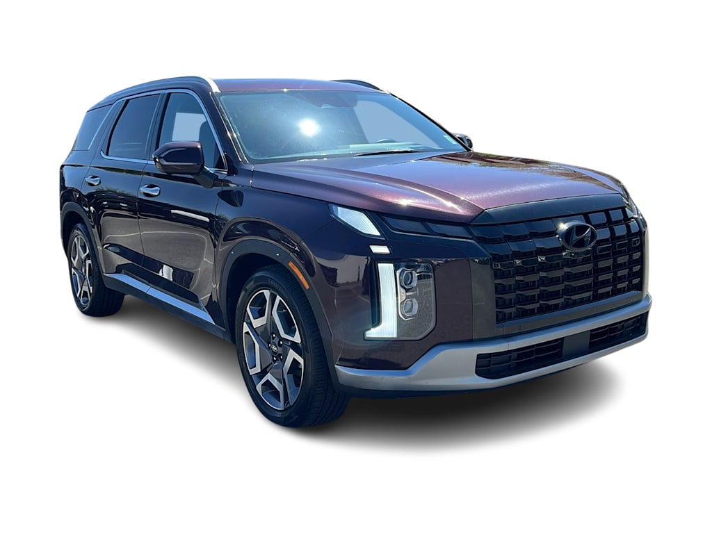 2024 Hyundai Palisade Limited 18