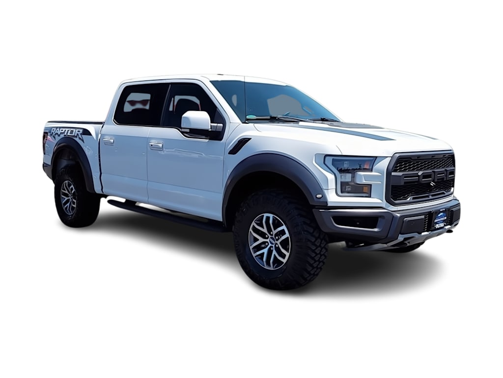 2018 Ford F-150 Raptor 18