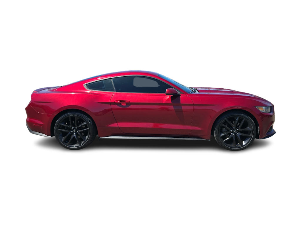 Thumbnail: 2016 Ford Mustang - 17